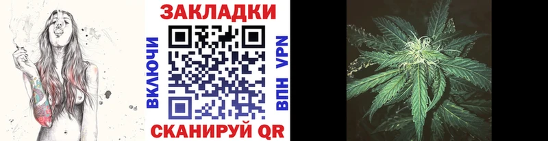Купить закладку А ПВП  Мефедрон  Амфетамин  COCAIN  Йошкар-Ола