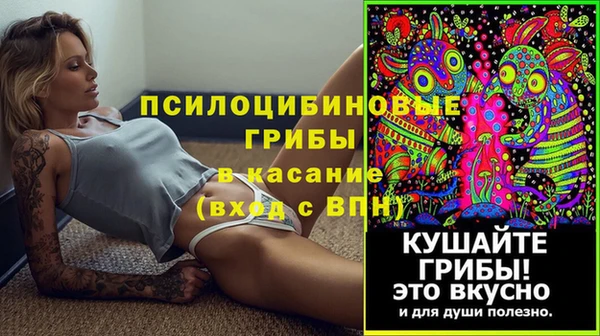 шишки Кинешма
